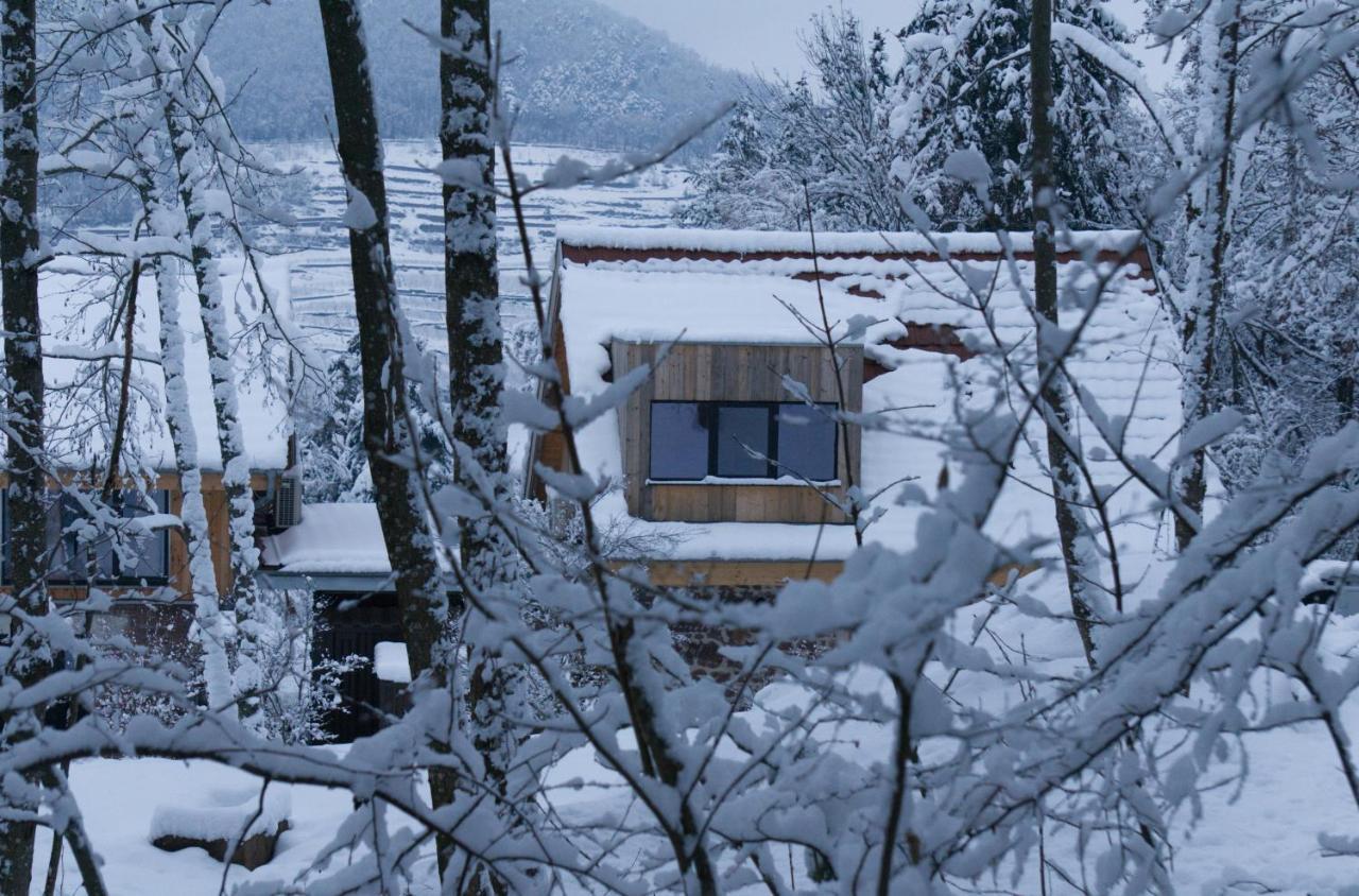Le Grand Petit Prince - Domaine De Charme - Jacuzzis Privatifs Ґебвіллер Екстер'єр фото